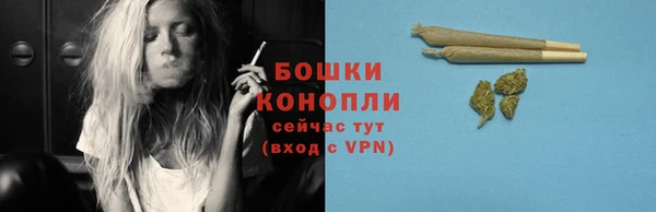 ГАЛЛЮЦИНОГЕННЫЕ ГРИБЫ Армянск