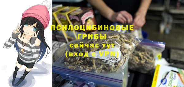 ГАЛЛЮЦИНОГЕННЫЕ ГРИБЫ Армянск