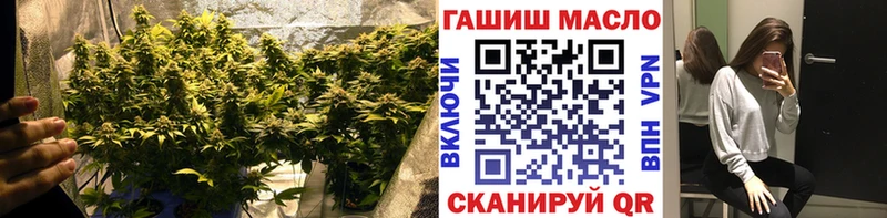 ТГК гашишное масло  даркнет сайт  Жуковский 