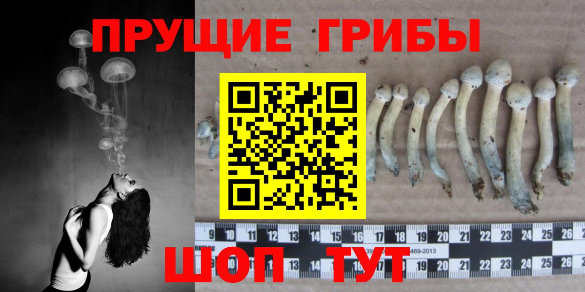 ГАШ  Жуковский  Каннабис  Меф МЯУ МЯУ   Вход с VPN  Cocaine 